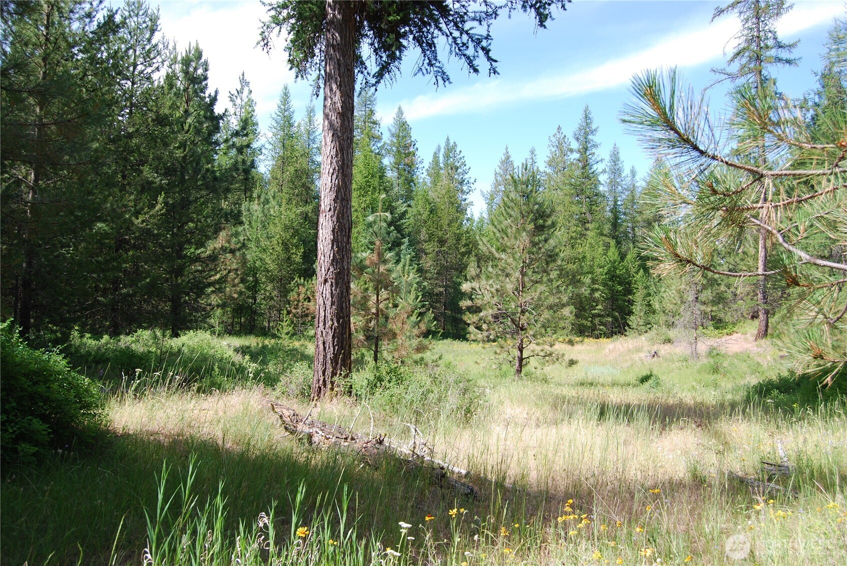 30-23 Wild Turkey Lane Riverside, WA 98849 - Photo 7 of 17 a view of lake