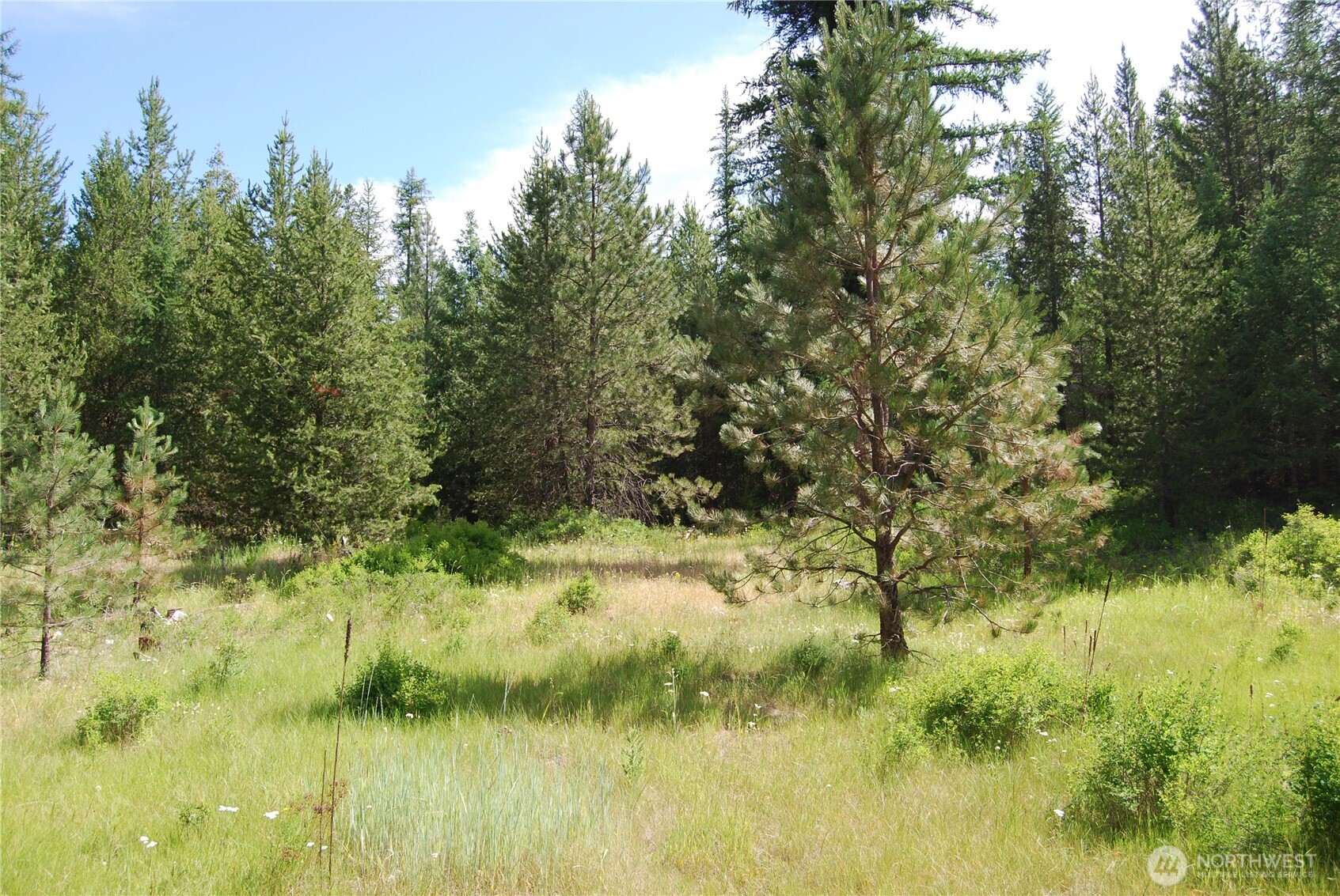 30-23 Wild Turkey Lane Riverside, WA 98849 - Photo 8 of 17