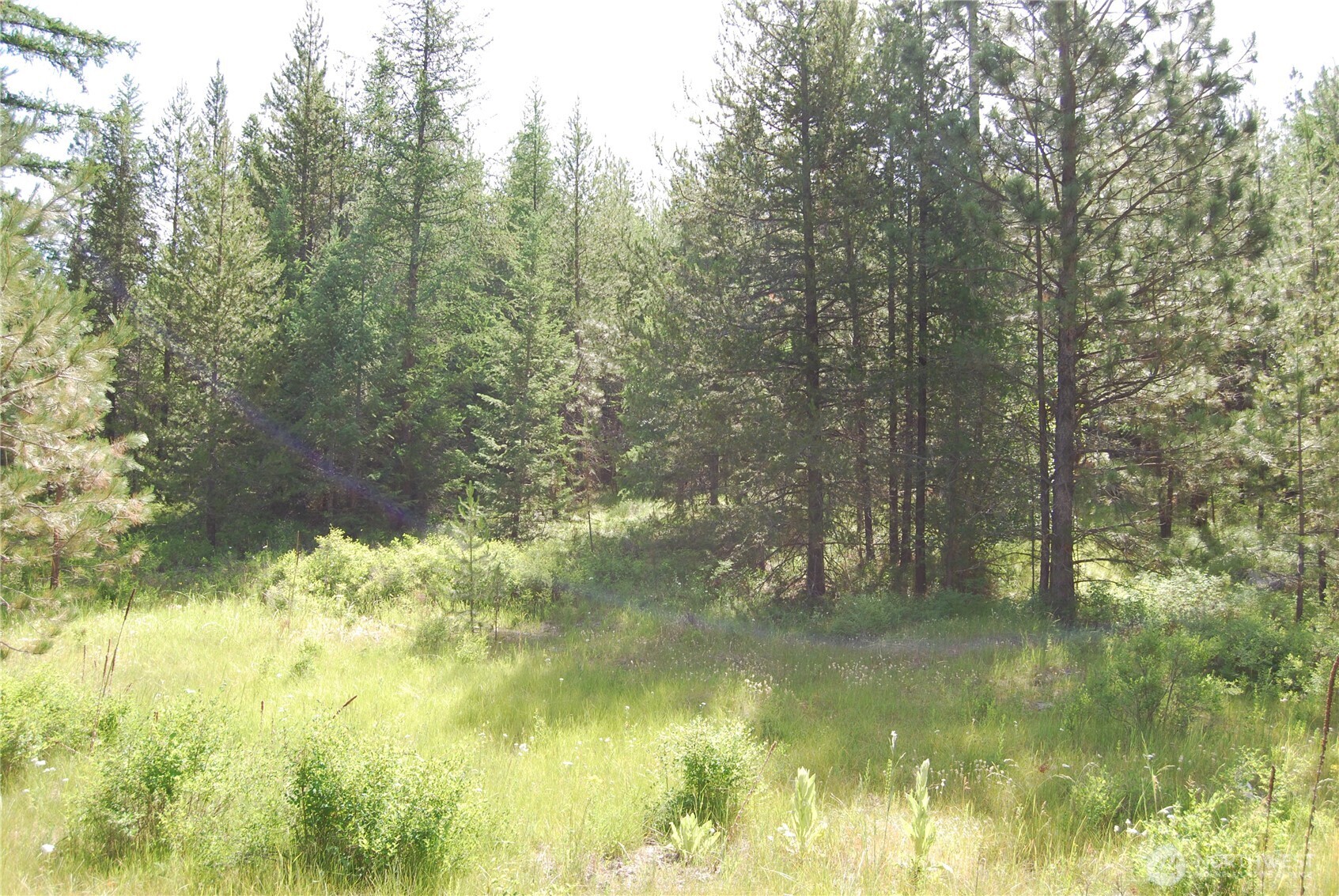 30-23 Wild Turkey Lane Riverside, WA 98849 - Photo 9 of 17