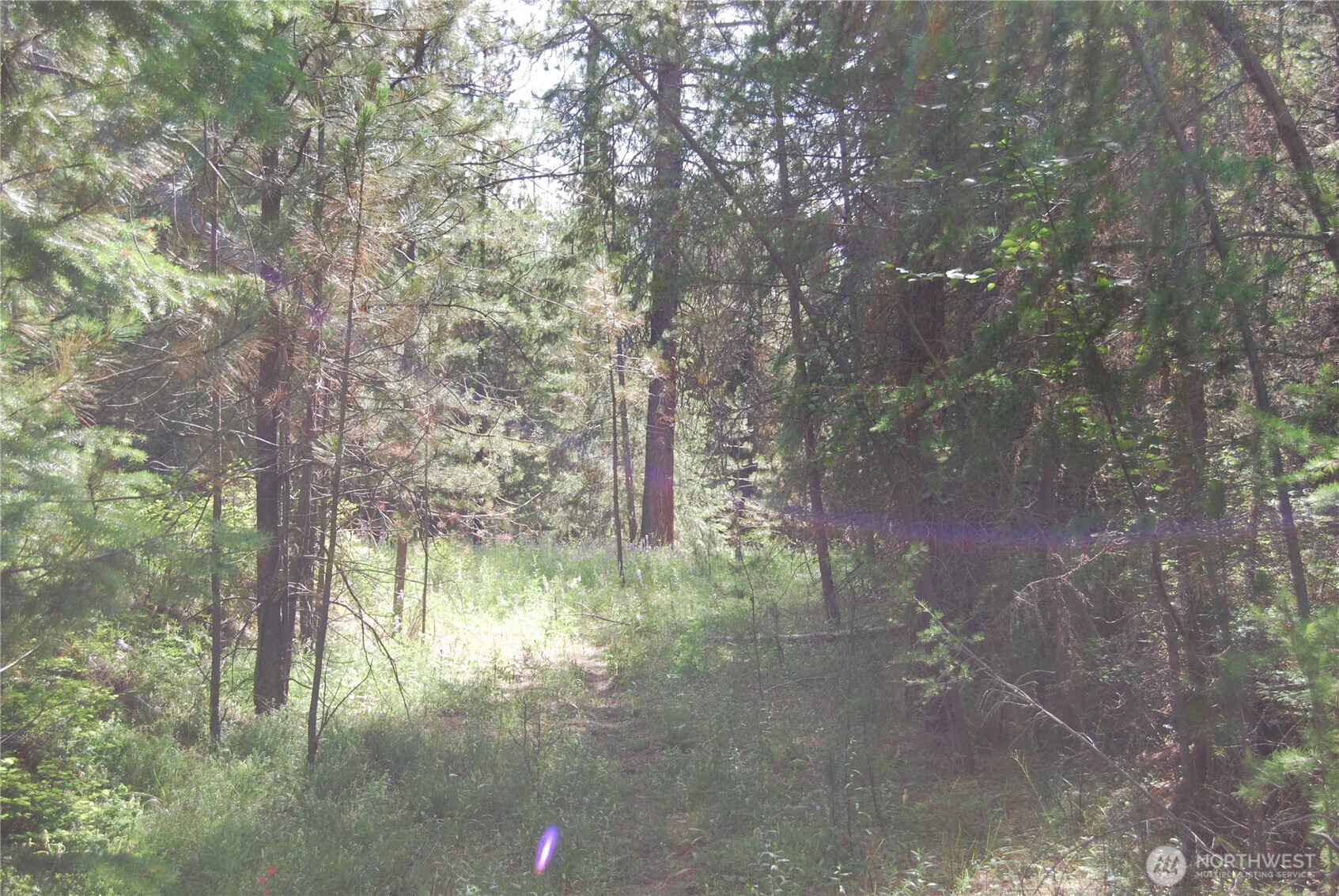 30-23 Wild Turkey Lane Riverside, WA 98849 - Photo 10 of 17