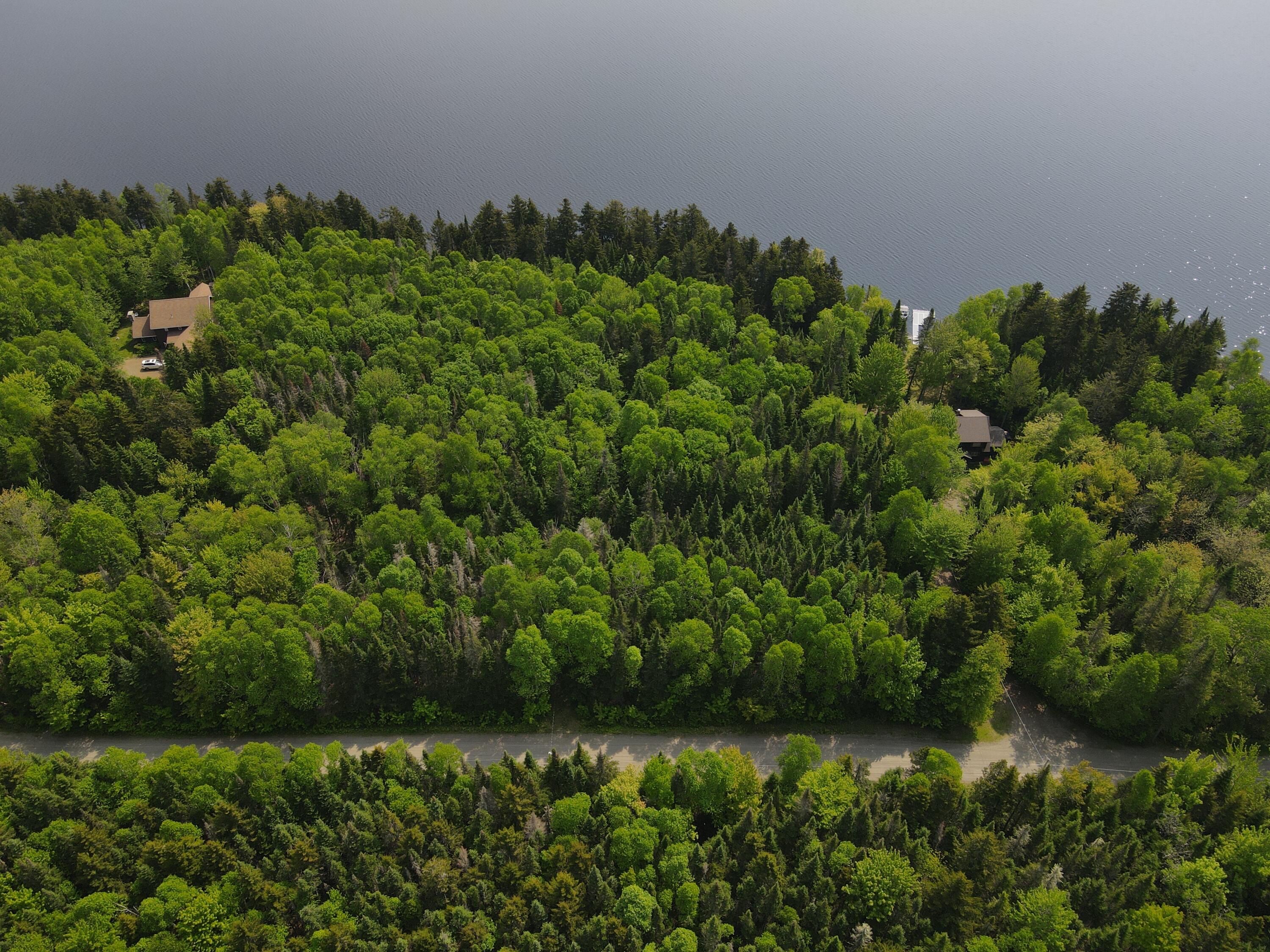 Lot 7.4 Pleasant Island Road Oquossoc, ME 04964 - Photo 12 of 12 DJI_0046
