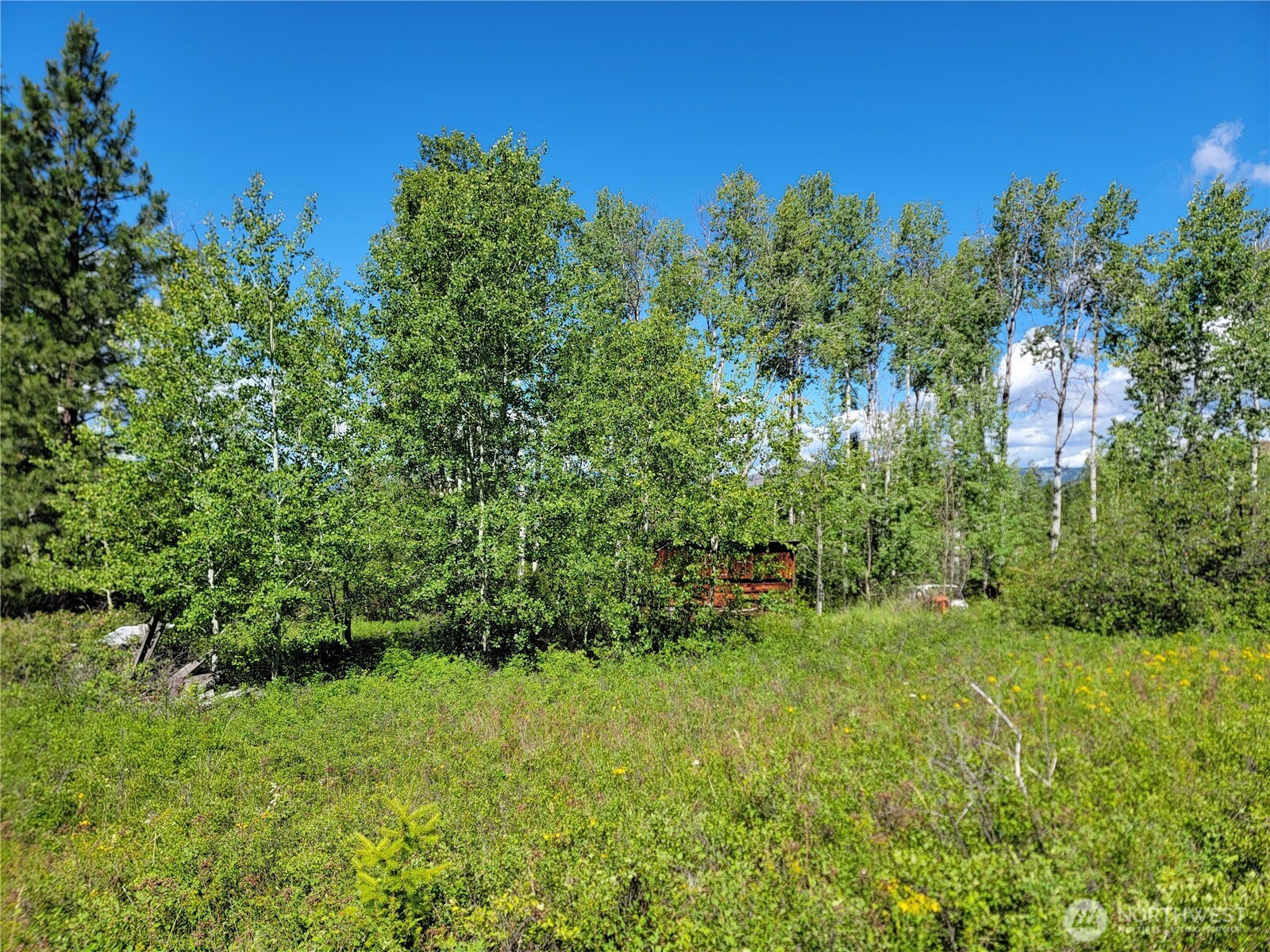 29 Yellow Brick Road Curlew, WA 99118 - Photo 13 of 15 Gallery Image 13