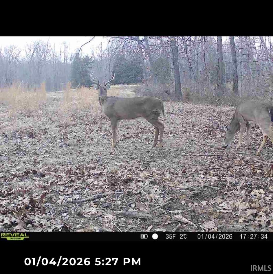 1 Beech Tree Road Nineveh, IN 46164 - Photo 4 of 15