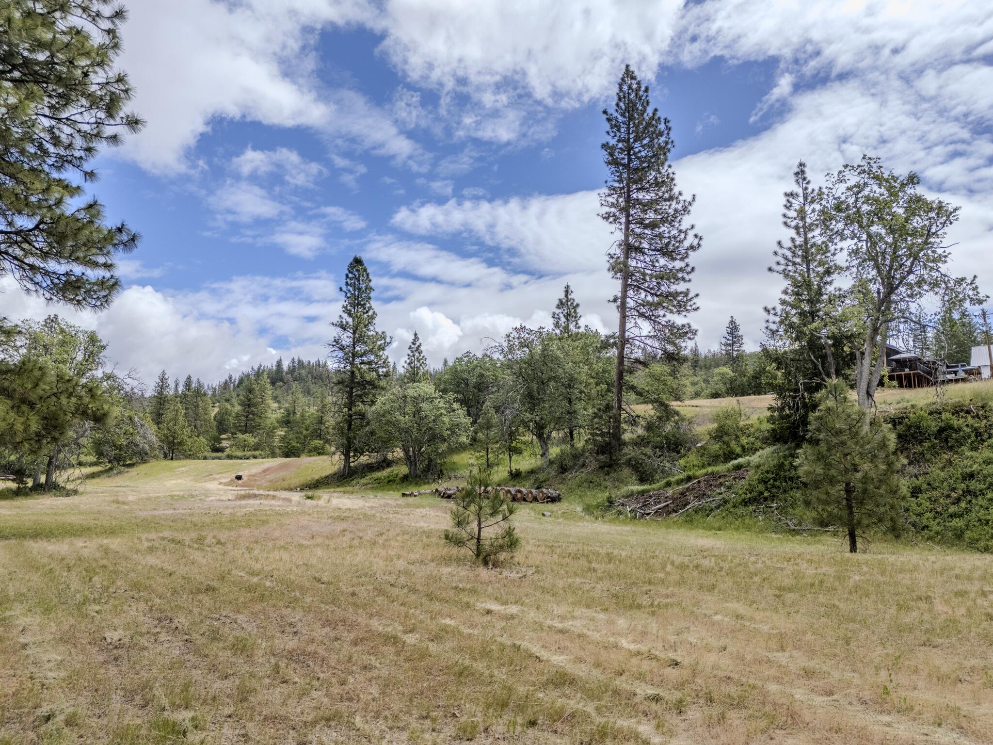 1969 Colestin Road Ashland, OR 97520 - Photo 66 of 72 DJI_20260527032043_0418_D-HDR