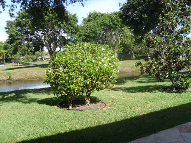 5344 Monterey Circle, Unit B Delray Beach, FL 33484 - Photo 23 of 26 PATIO VIEW