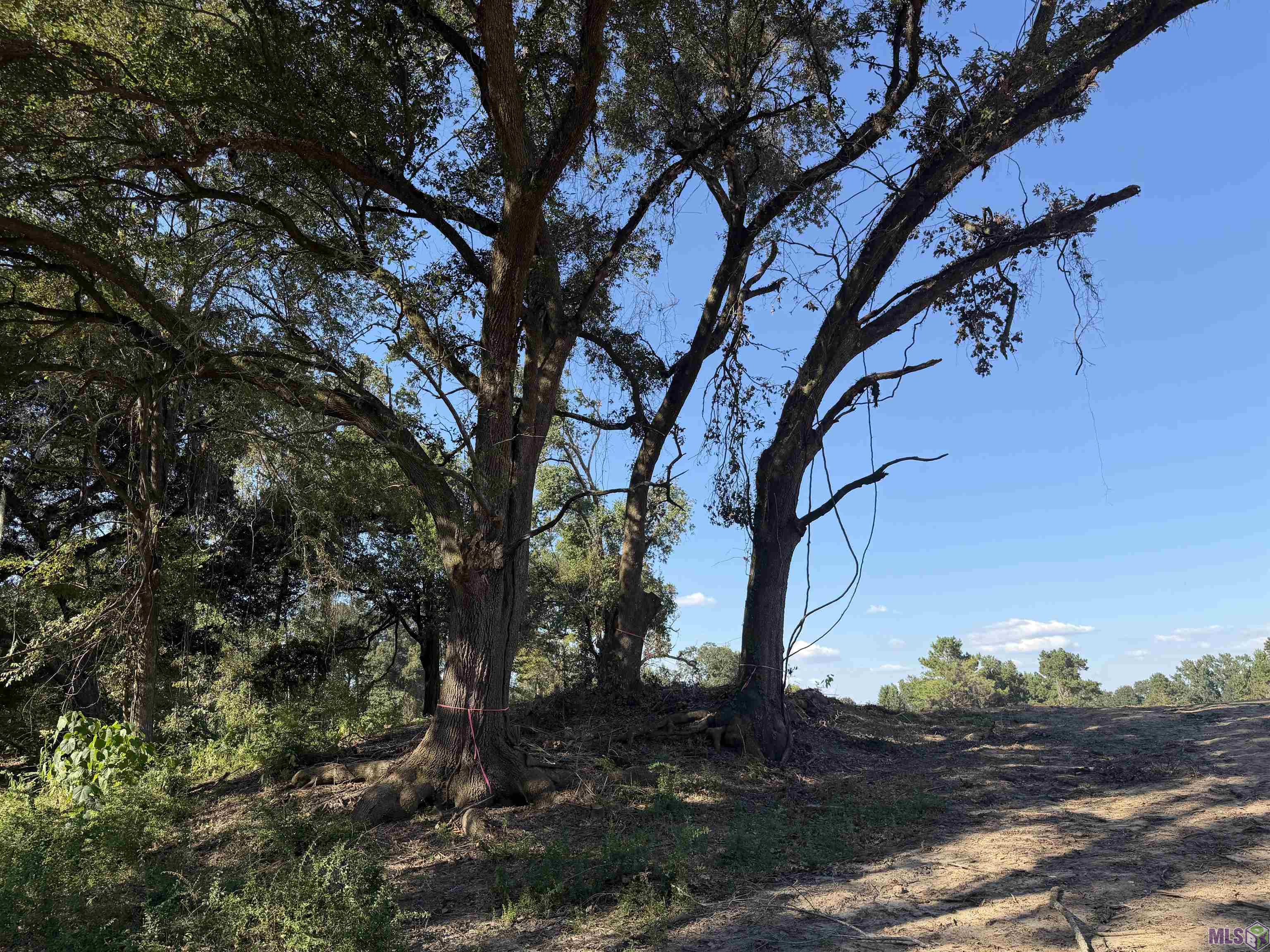 16 North Stately Oaks Drive Baton Rouge, LA 70810 - Photo 4 of 9