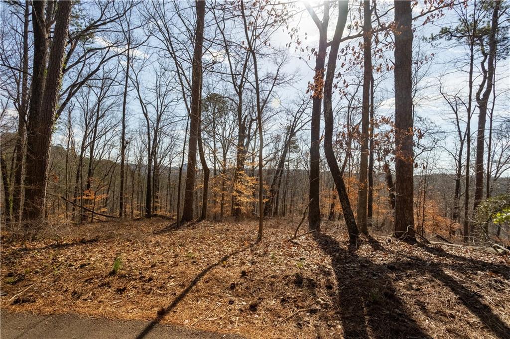 a backyard of a house with lots of trees