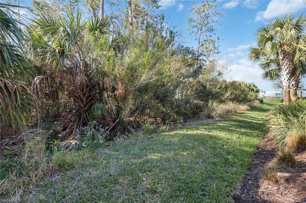 4359 Raffia Palm Circle Naples, FL 34119 - Photo 28 of 35 a big yard with lots of green space