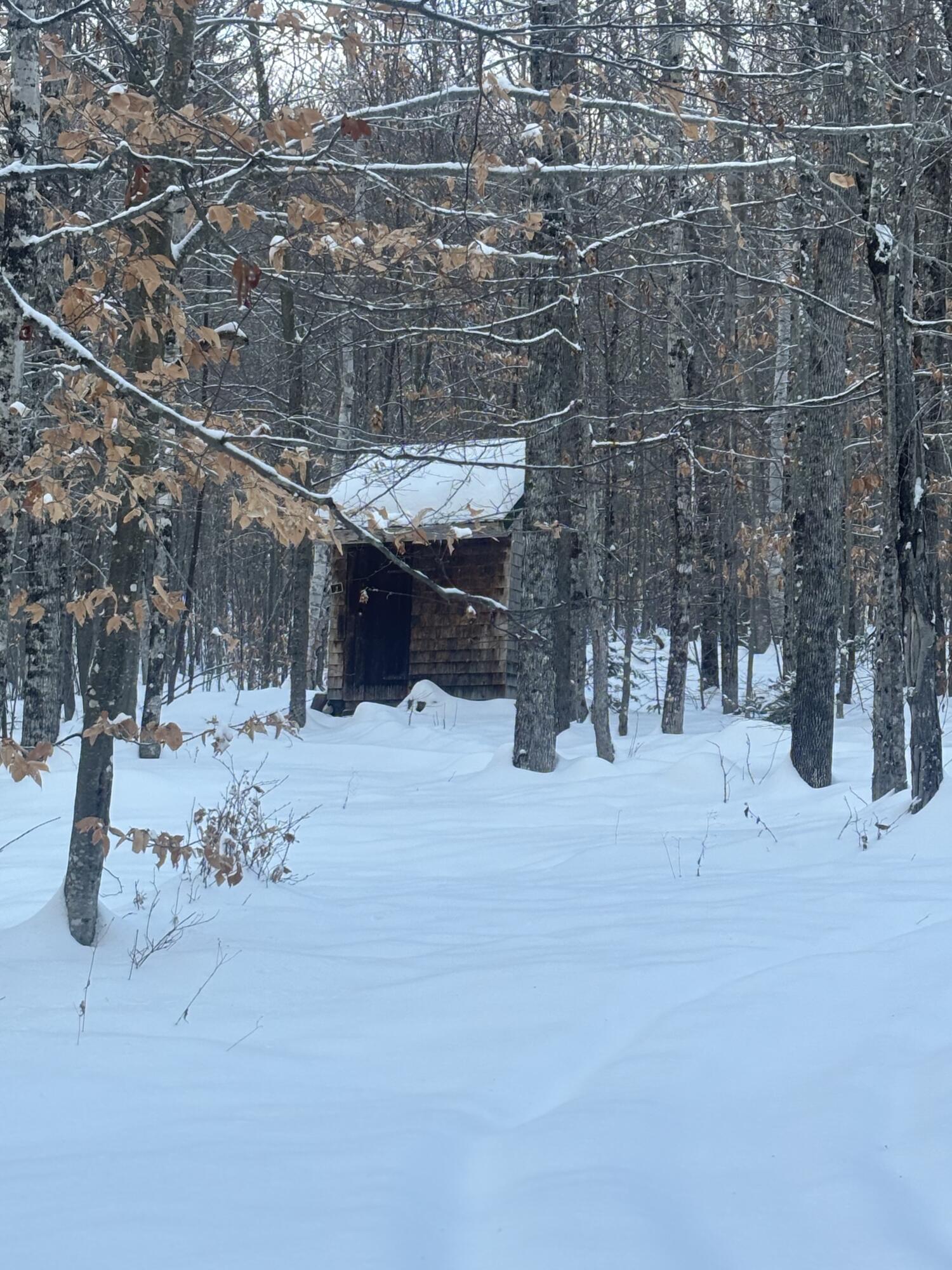 Lot 01-31 Spruce Pond Road New Portland, ME 04961 - Photo 13 of 35 IMG_5771