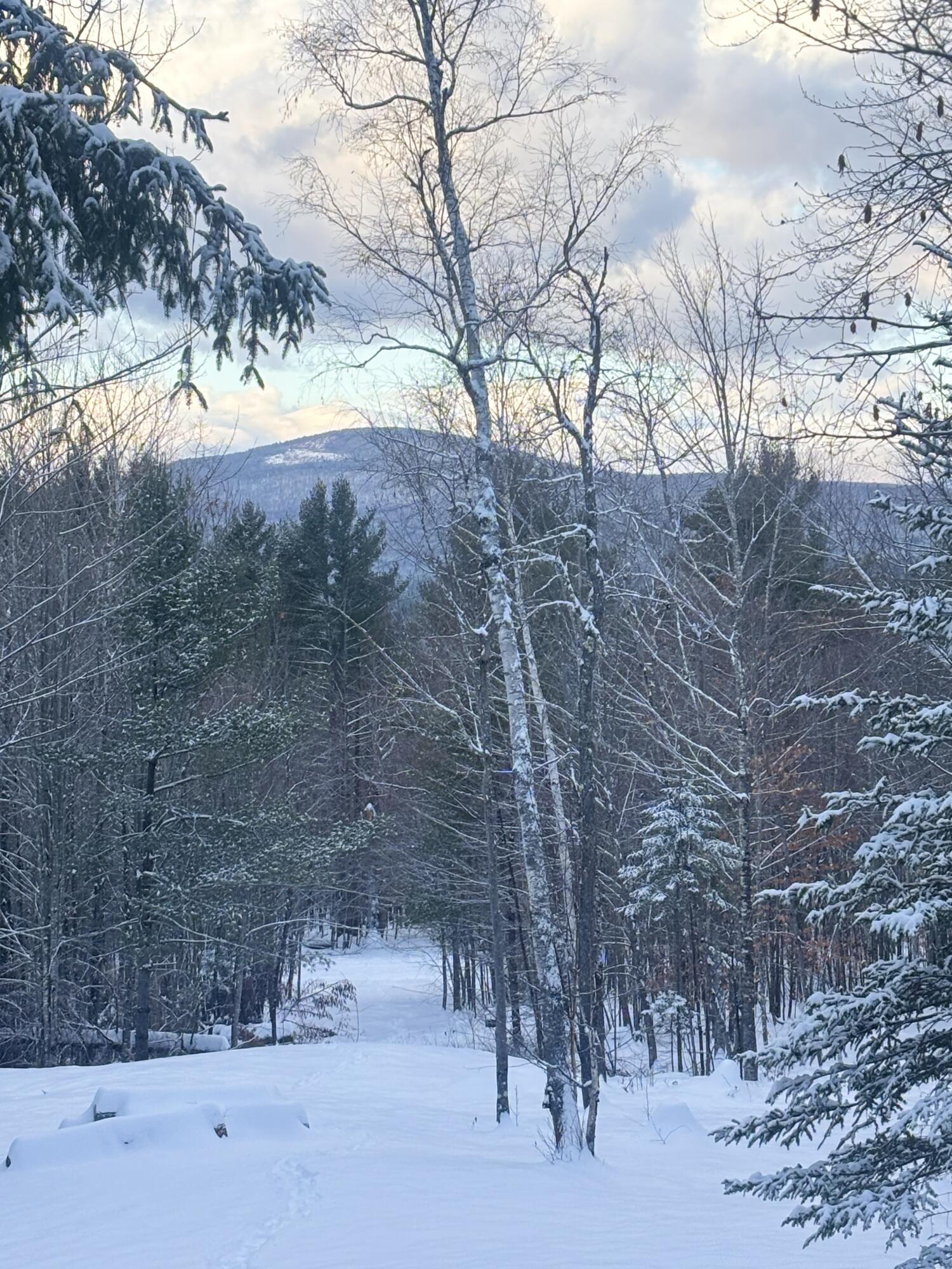 Lot 01-31 Spruce Pond Road New Portland, ME 04961 - Photo 20 of 35 IMG_5787