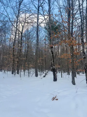 $425,000 | Lot 01-31 Spruce Pond Road, New Portland, ME 04961
