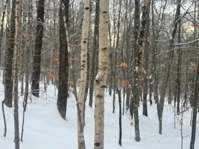 $425,000 | Lot 01-31 Spruce Pond Road, New Portland, ME 04961