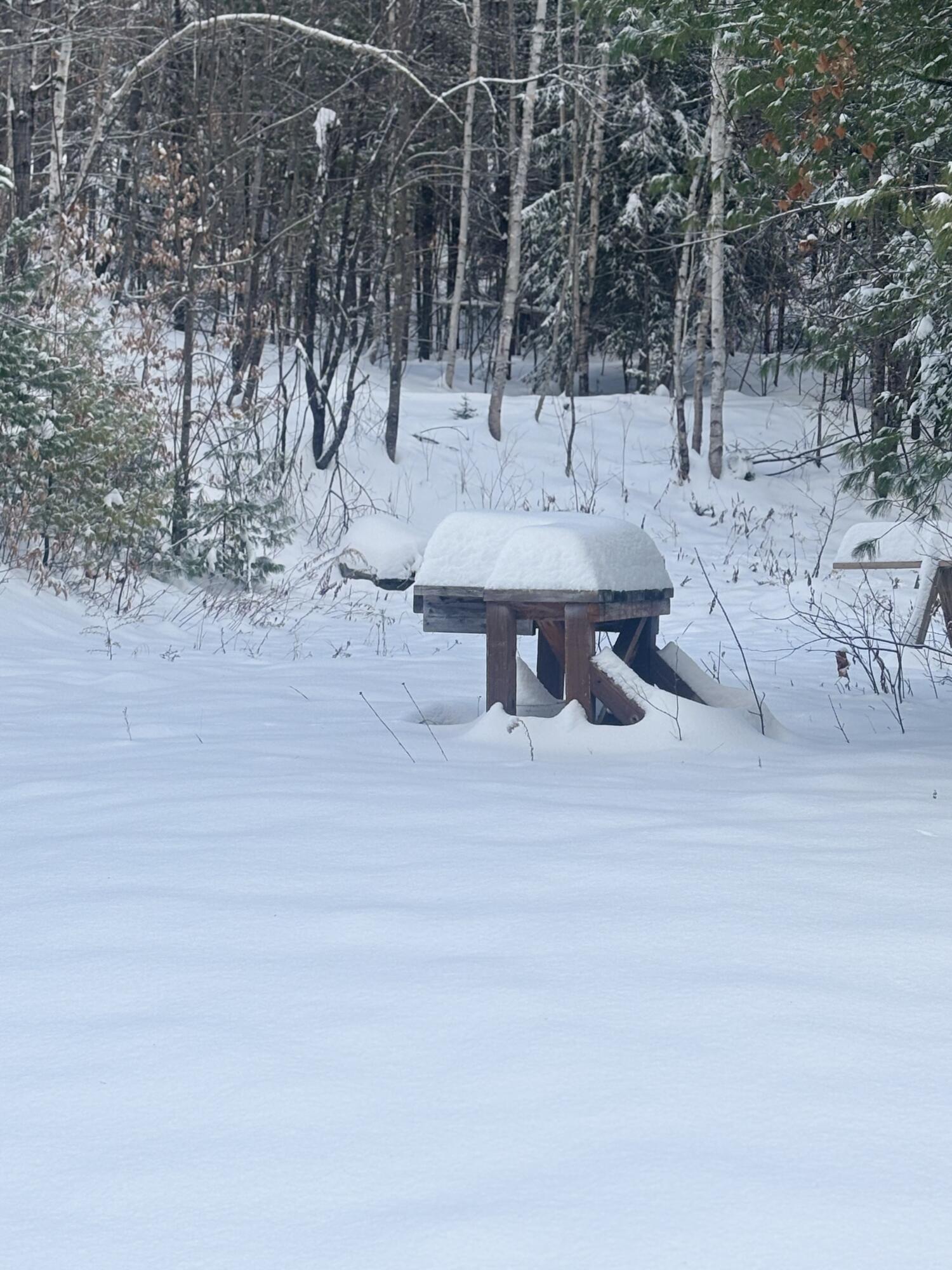 Lot 01-31 Spruce Pond Road New Portland, ME 04961 - Photo 31 of 35 IMG_5799