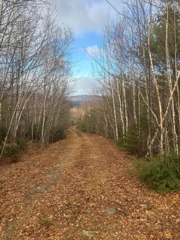 $425,000 | Lot 01-31 Spruce Pond Road, New Portland, ME 04961