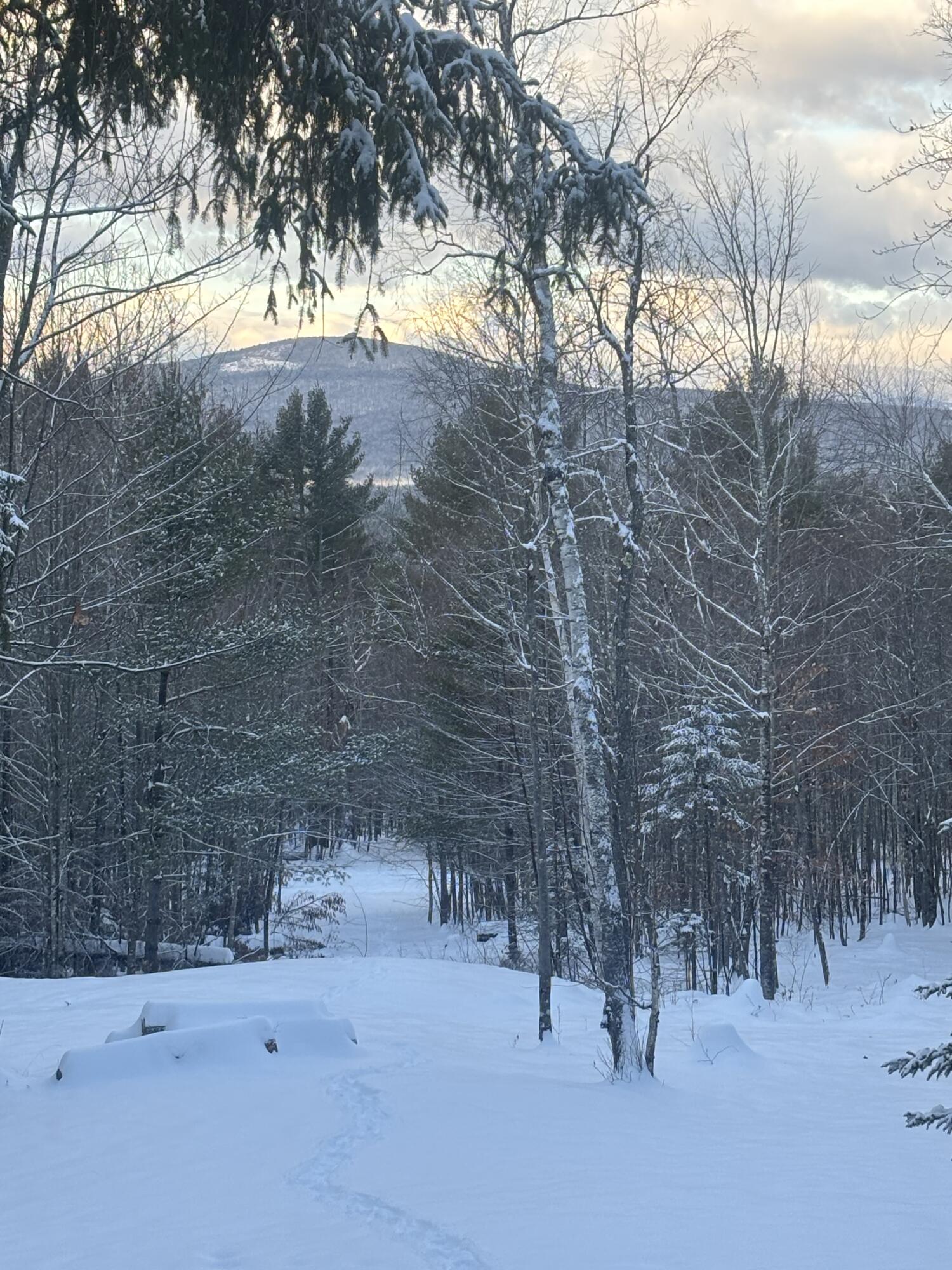 Lot 01-31 Spruce Pond Road New Portland, ME 04961 - Photo 4 of 35 IMG_5774