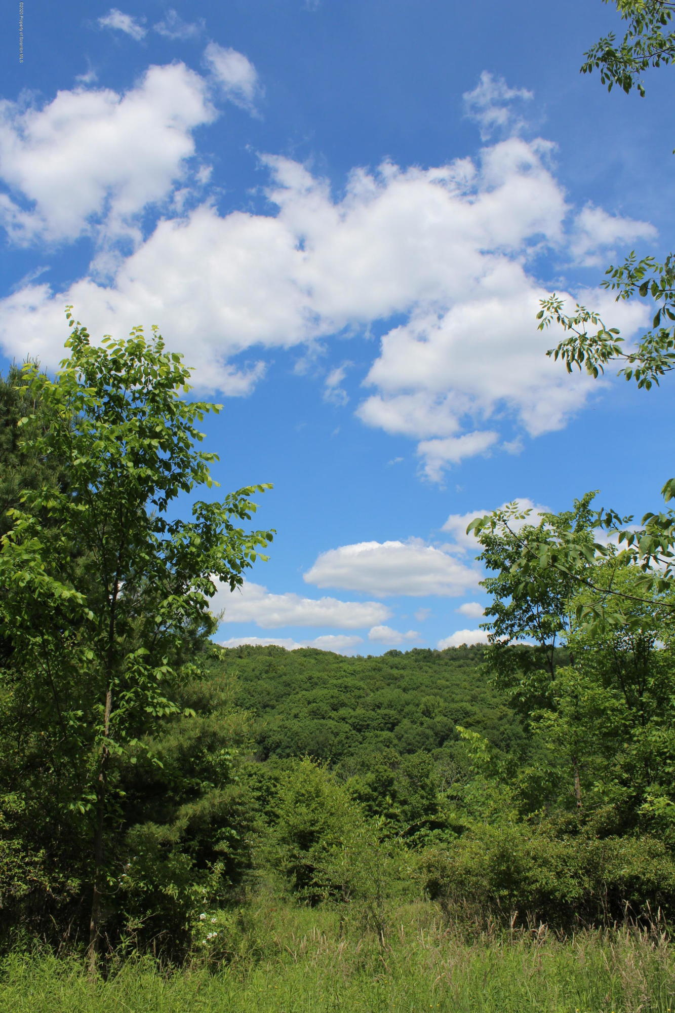 5090 West Nicholson Road Tunkhannock, PA 18657 - Photo 1 of 13 a view of a bunch of trees