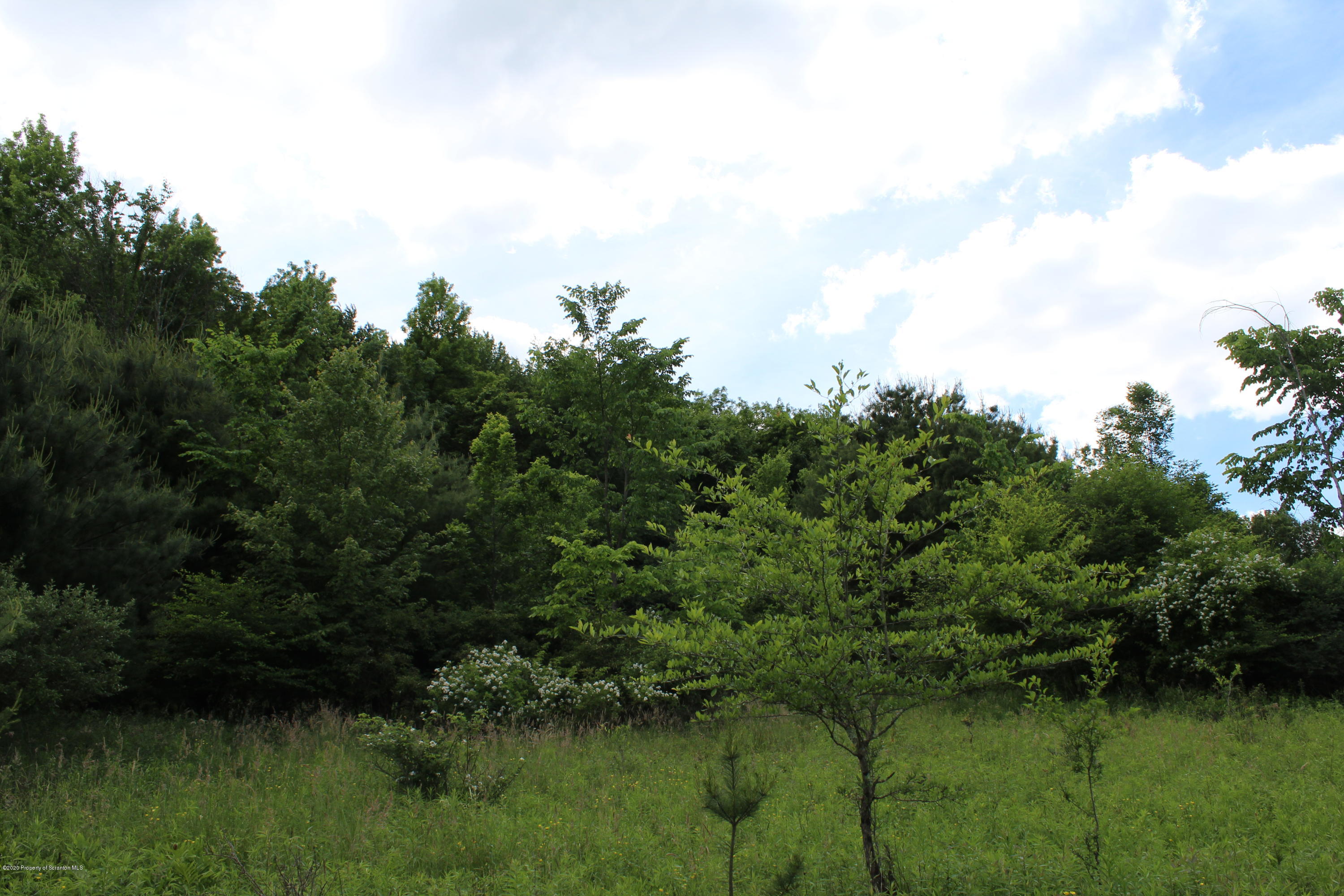 5090 West Nicholson Road Tunkhannock, PA 18657 - Photo 4 of 13 a view of a lake with green space