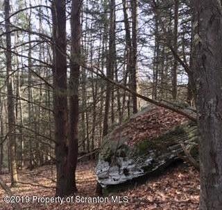 5090 West Nicholson Road Tunkhannock, PA 18657 - Photo 6 of 13 a view of a tree in a yard