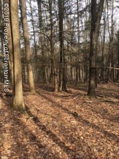 5090 West Nicholson Road Tunkhannock, PA 18657 - Photo 7 of 13 a row of trees