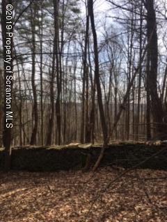 5090 West Nicholson Road Tunkhannock, PA 18657 - Photo 8 of 13 a view of outdoor space