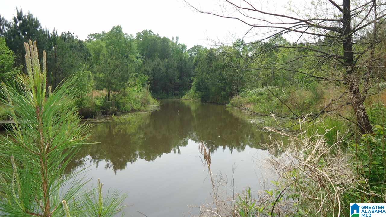 0 Mudd Street Ohatchee, AL 36271 - Photo 1 of 20