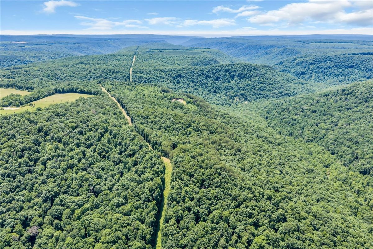 5688 Burkett Chapel Road Gruetli Laager, TN 37339 - Photo 56 of 73