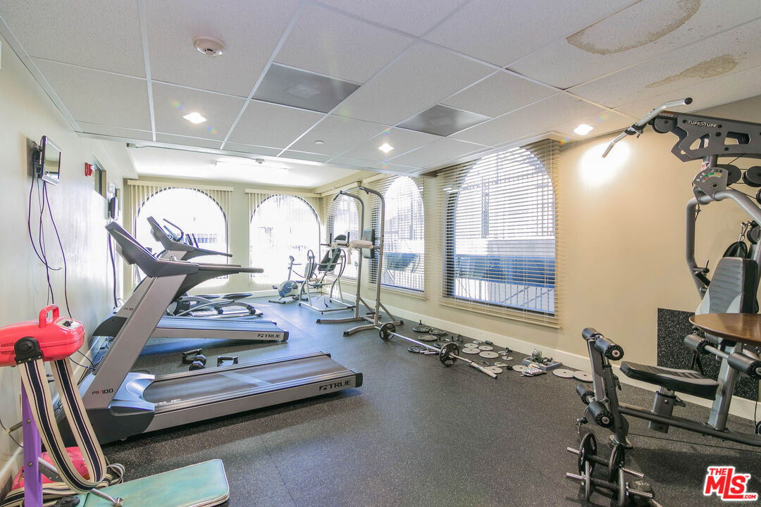848 Irolo Street, Unit 105 Los Angeles, CA 90005 - Photo 8 of 18 a room with gym equipment and a large window