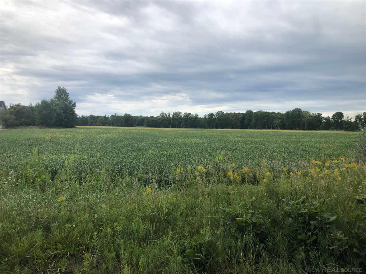 0 Omo Road, Unit 7 New Haven, MI 48050 - Photo 1 of 4 Lot 7