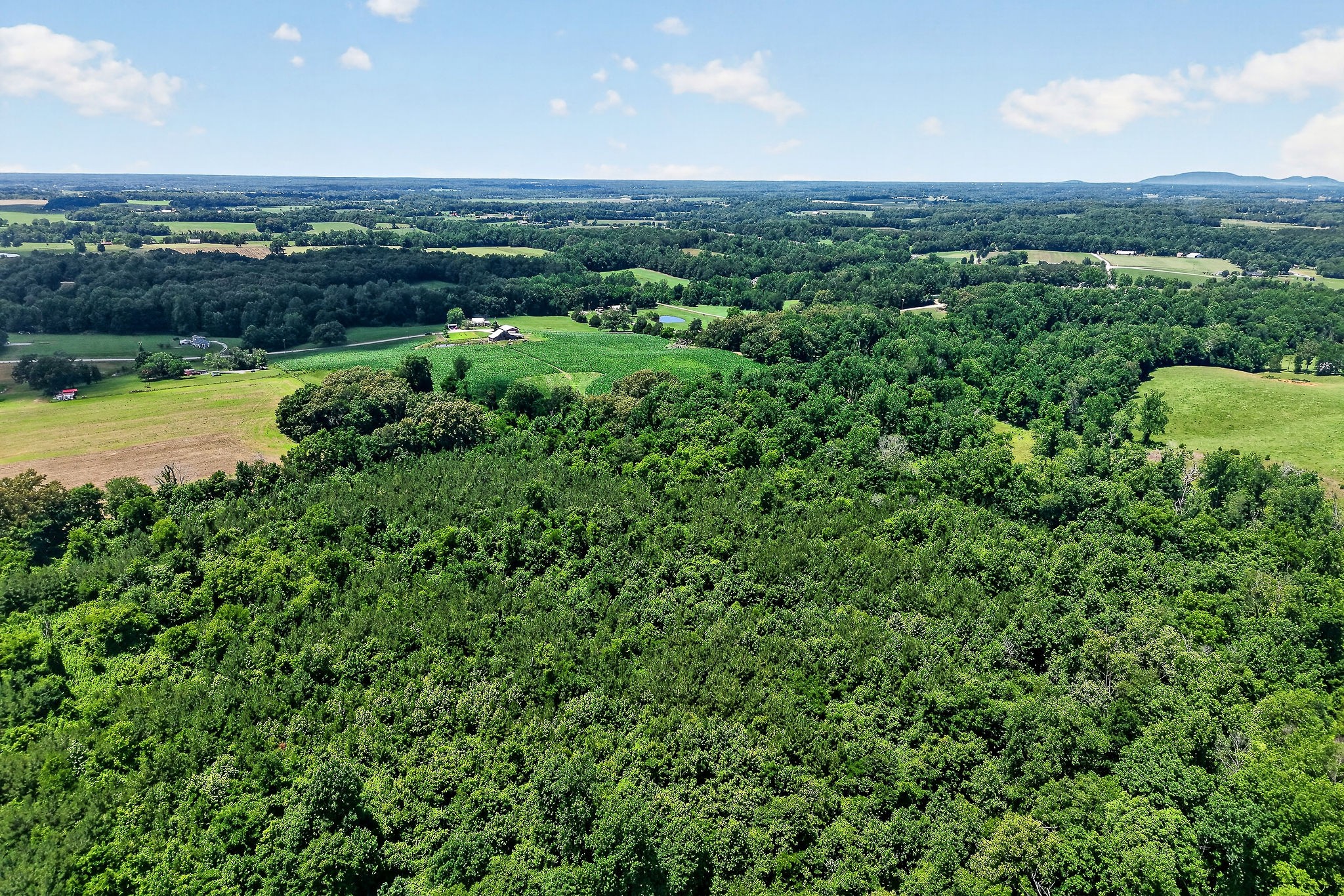 2531 Old Well Road Morrison, TN 37357 - Photo 53 of 63