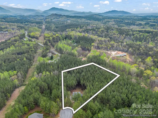 a view of a forest from a yard