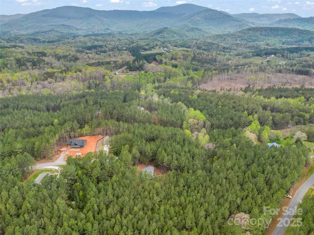 a view of a lush green hillside and houses