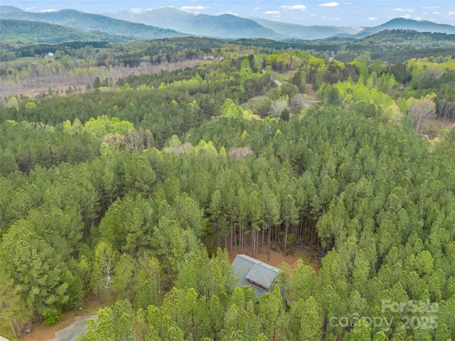 a view of a lake with a mountain
