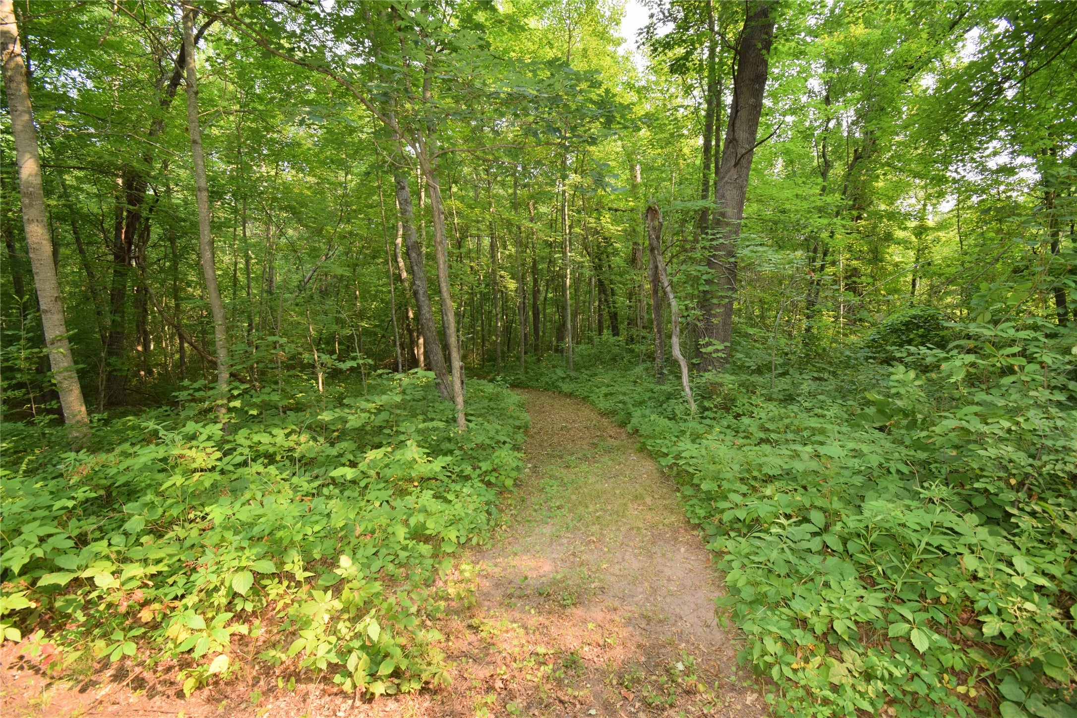 25707 Smith Road Webster, WI 54893 - Photo 48 of 58 Gallery Image 48