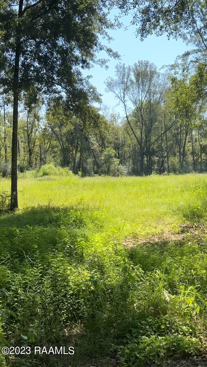 903 Benoit Road Carencro, LA 70520 - Photo 9 of 14 Gallery Image 9