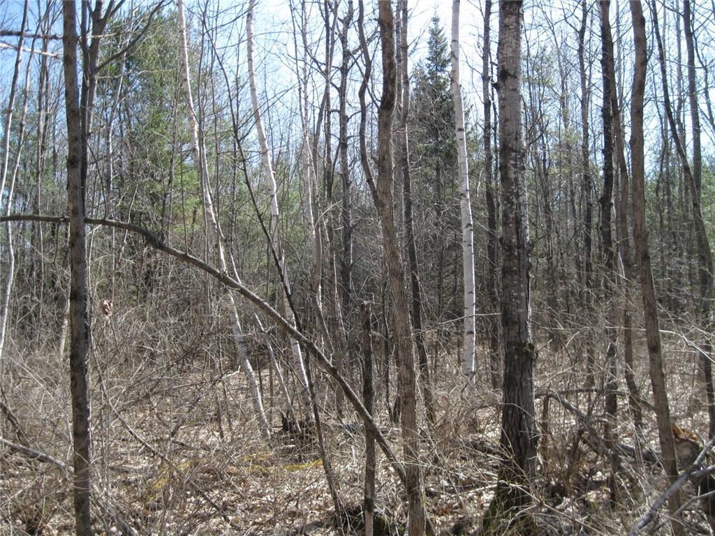 Lot 4 Cemetery Road Newport, ME 04953 - Photo 6 of 6 Photo
