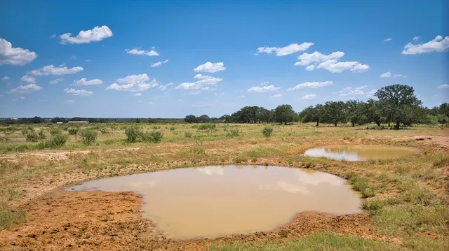 a view of an ocean and beach