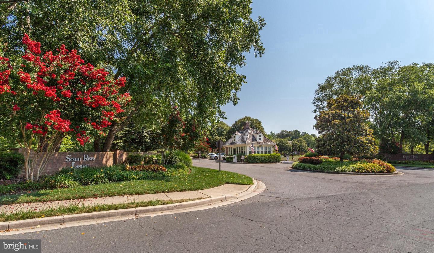 1100 South River Landing Road Edgewater, MD 21037 - Photo 50 of 51 a view of a park with plants and trees