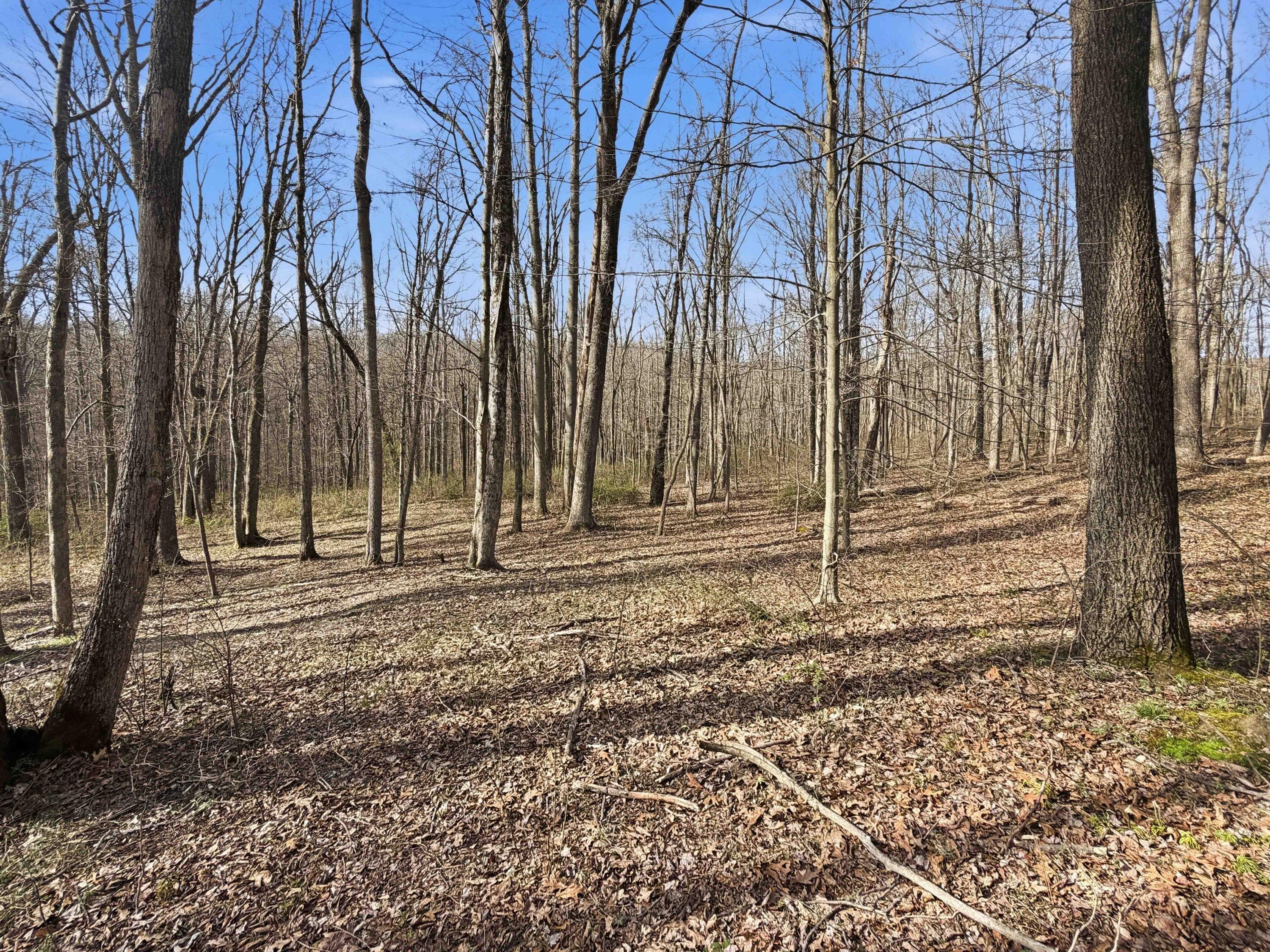 22470 Griffith Road Logan, OH 43138 - Photo 24 of 29 Griffith Rd-24