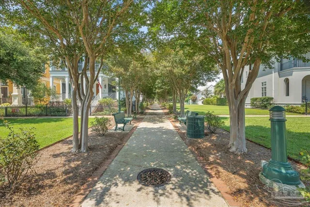 a view of a yard with tree s