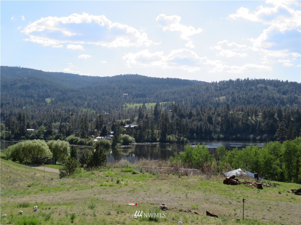 -tbd Heron Loop Road Republic, WA 99166 - Photo 2 of 9 Gallery Image 2