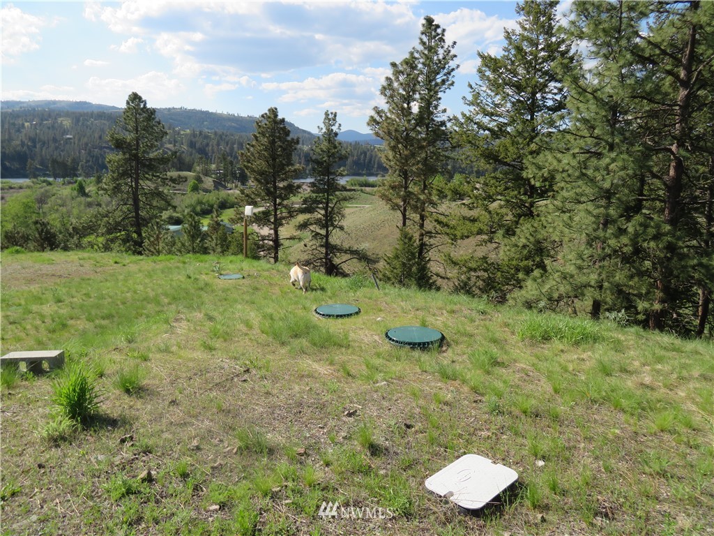 -tbd Heron Loop Road Republic, WA 99166 - Photo 5 of 9 Gallery Image 5