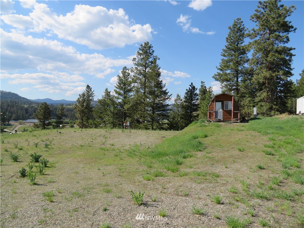 -tbd Heron Loop Road Republic, WA 99166 - Photo 6 of 9 Gallery Image 6