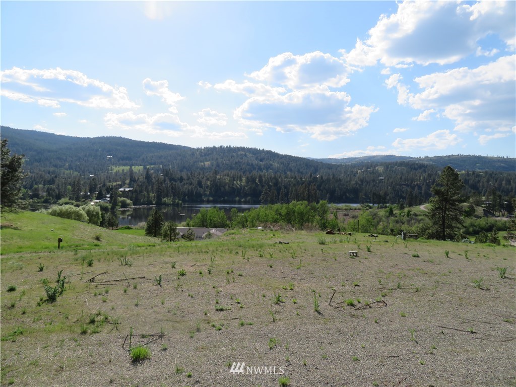 -tbd Heron Loop Road Republic, WA 99166 - Photo 7 of 9 Gallery Image 7