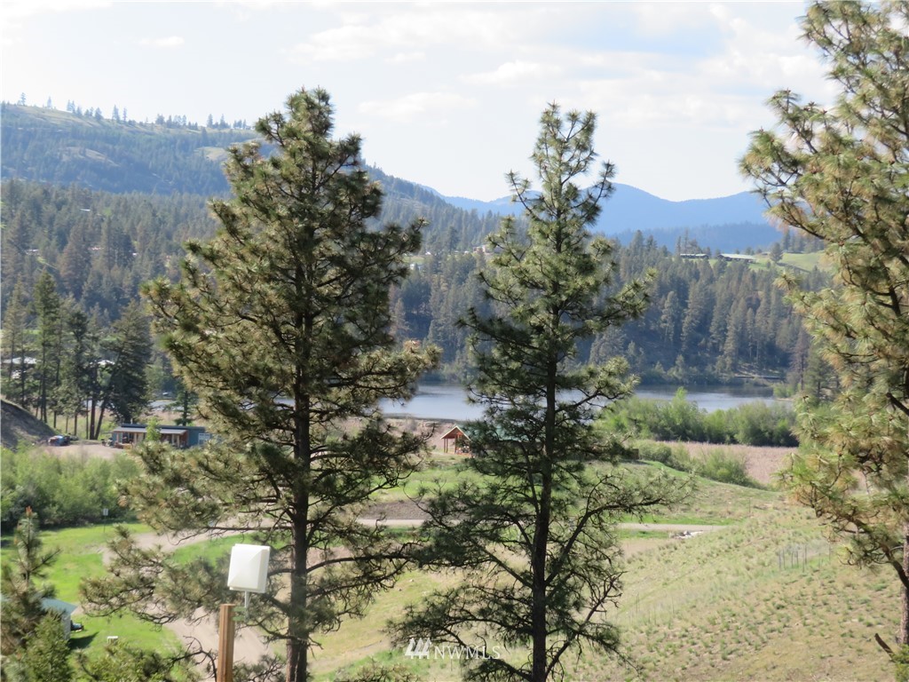 -tbd Heron Loop Road Republic, WA 99166 - Photo 9 of 9 Gallery Image 9