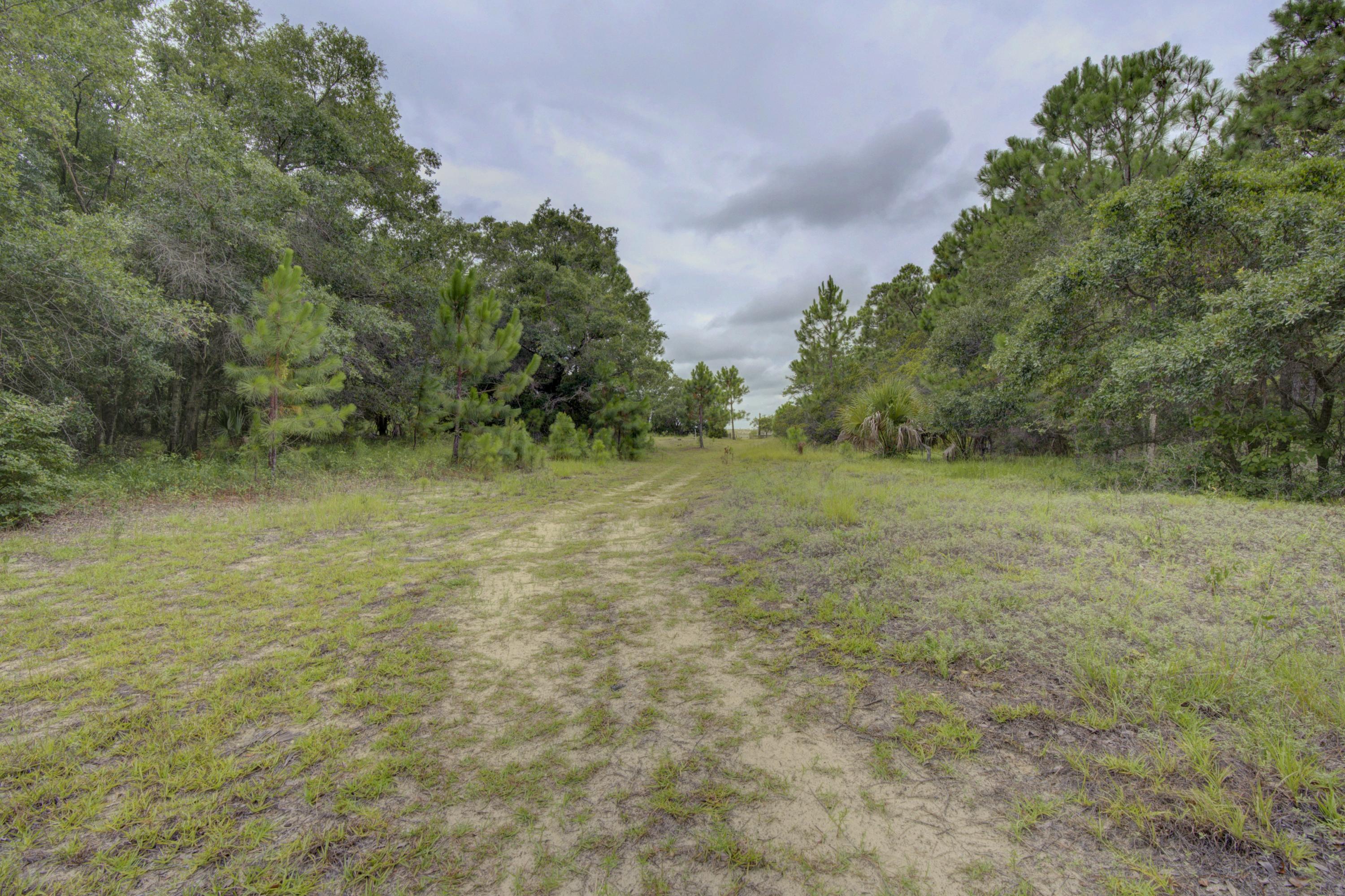 133 Dewees Inlet Drive Dewees Island, SC 29429 - Photo 5 of 8 _DSC7243_4_5_6_7