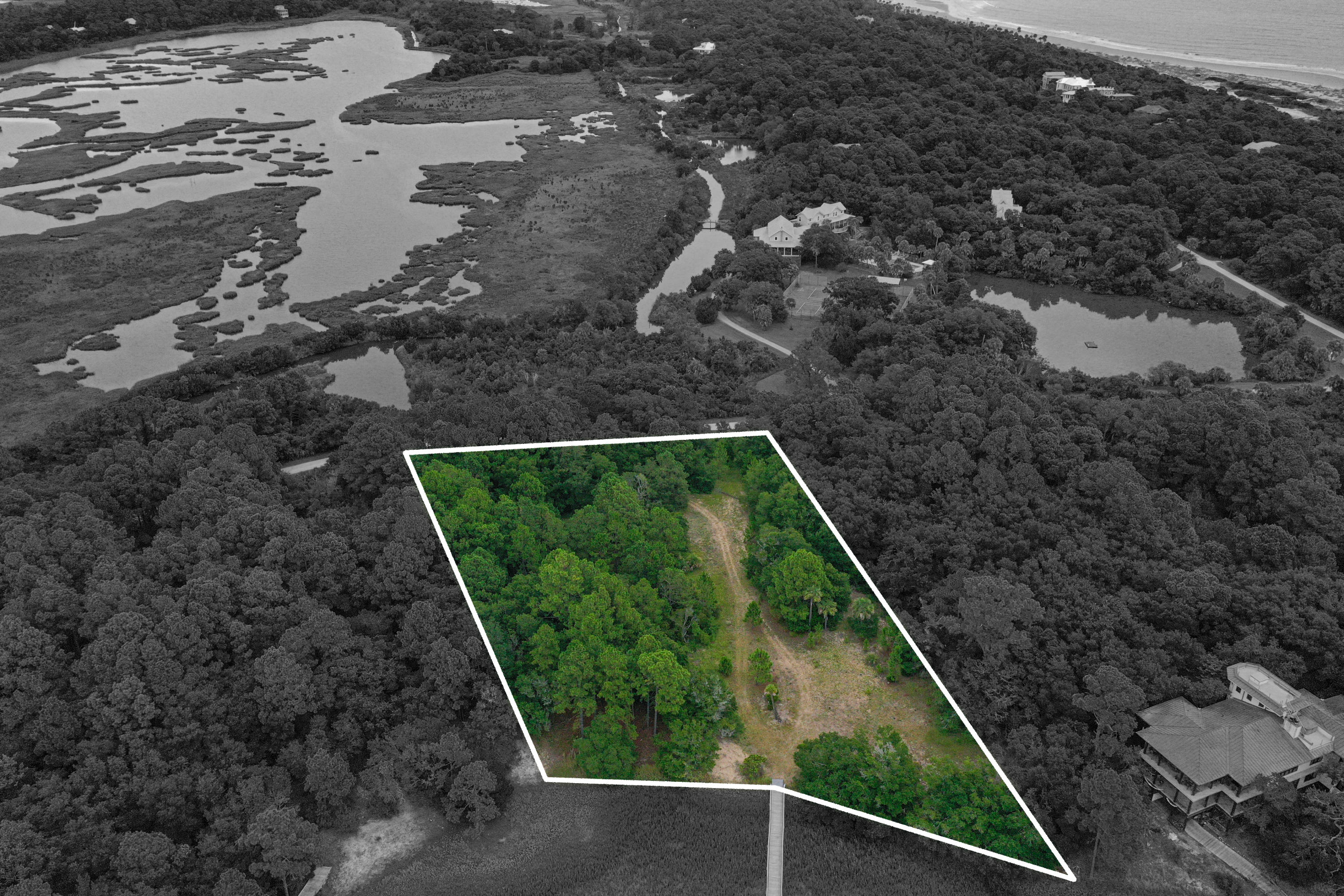 133 Dewees Inlet Drive Dewees Island, SC 29429 - Photo 8 of 8 Property2outline2