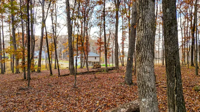 a backyard of a house with lots of trees