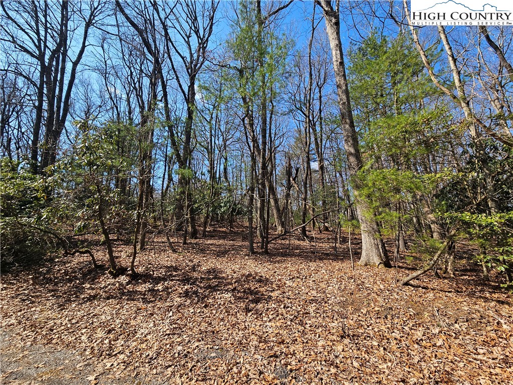 Mount Retreat Road Glade Valley, NC 28627 - Photo 4 of 16