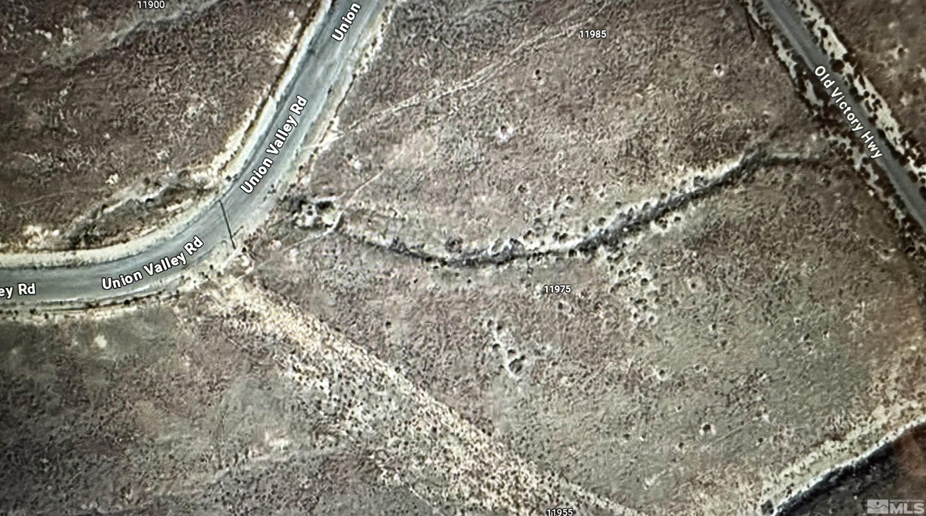 a close up of a plant