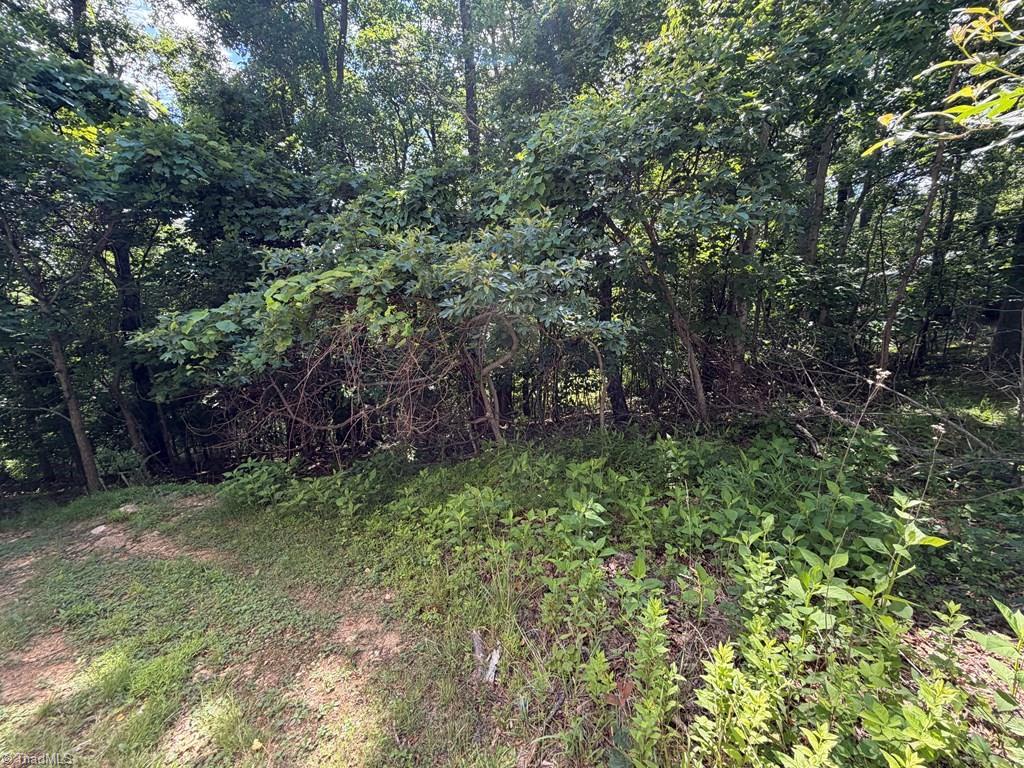 794 Rhododendron Road Hillsville, VA 24343 - Photo 26 of 27